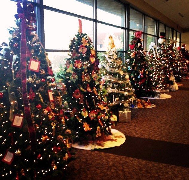 Fairfield's Forest of Trees