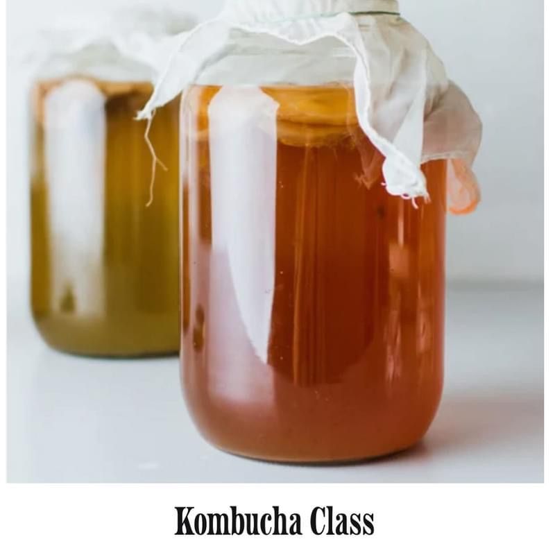 Kombucha-Making Workshop