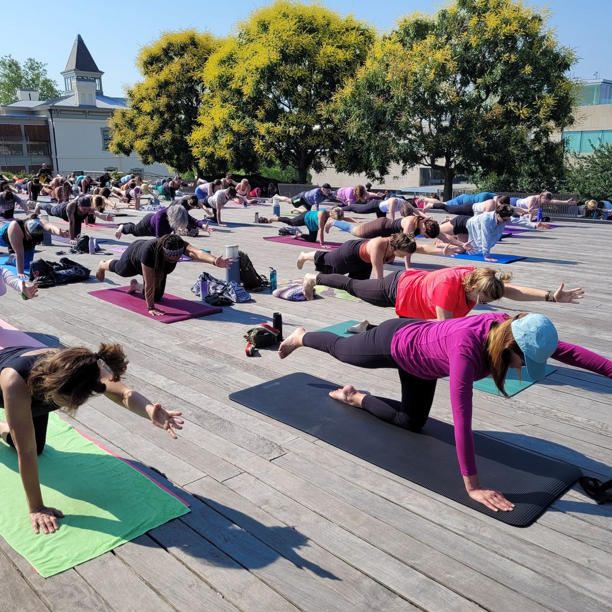 Community Yoga at the VMFA