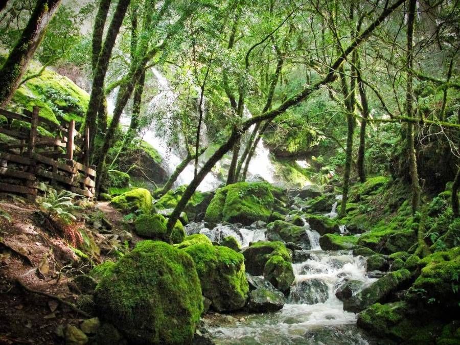 Big Hike Sunday: Famous Cataract Falls!