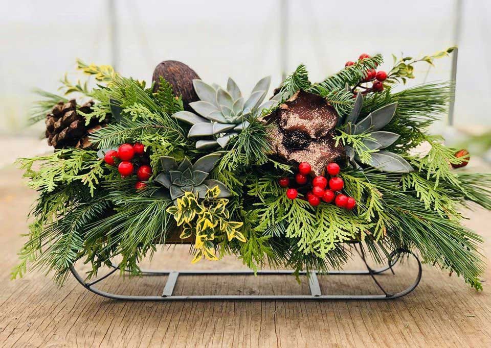 Succulent Sleigh Workshop - Bestseller!