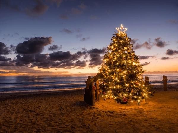 Bringing Christmas Magic to Sea Breeze \u2728