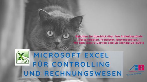 Microsoft Excel f\u00fcr Controlling und Rechnungswesen