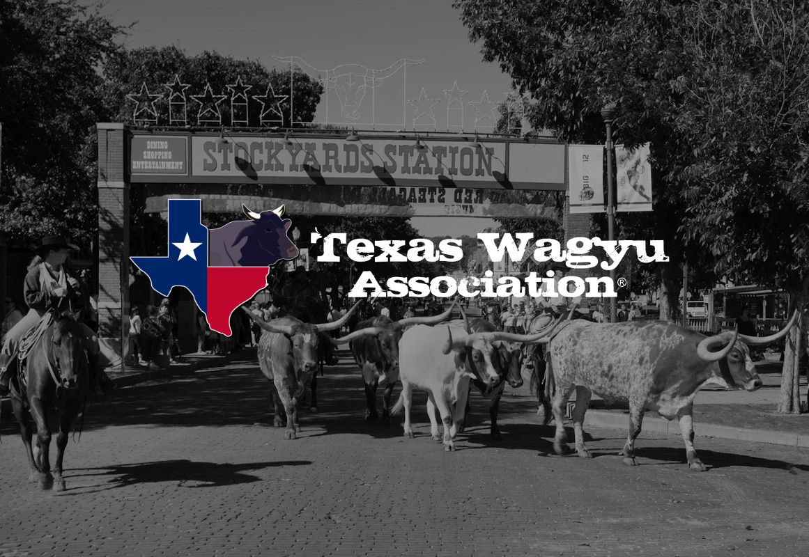 2024 Texas Wagyu Association Meeting & The Big Texas Sale
