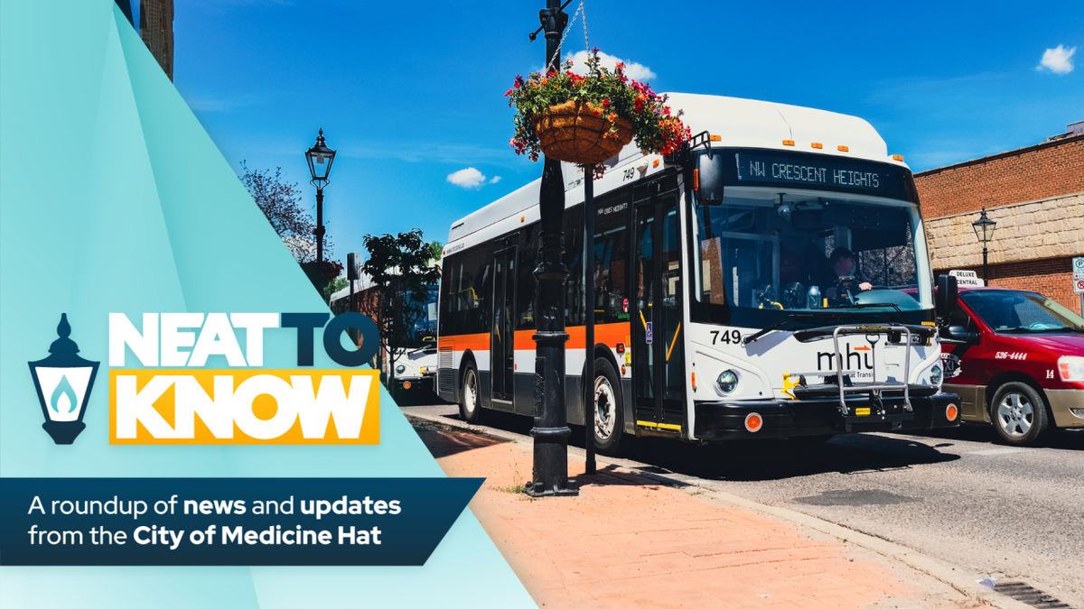 Parking Prince Albert Raiders at Medicine Hat Tigers