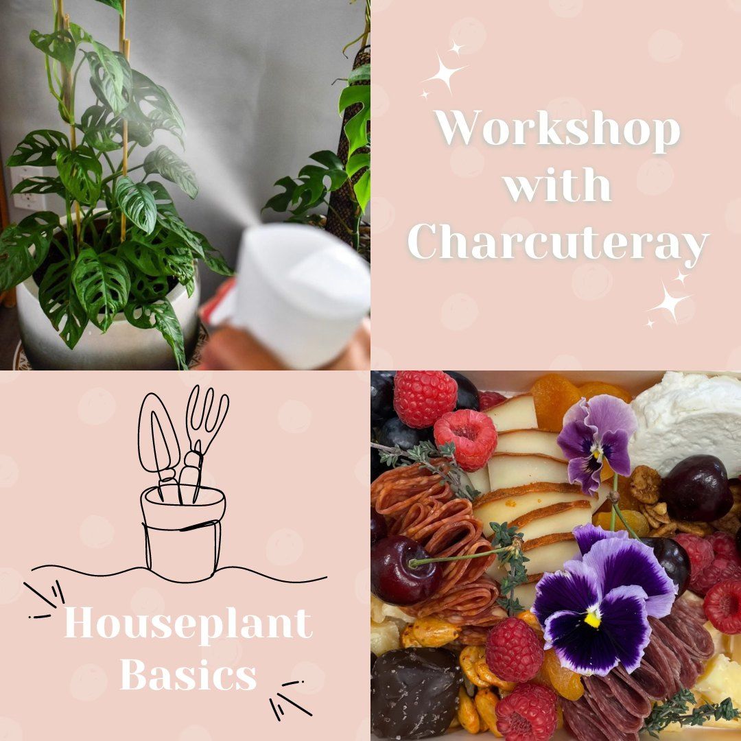 Charcuterie & Houseplant 101 Workshop