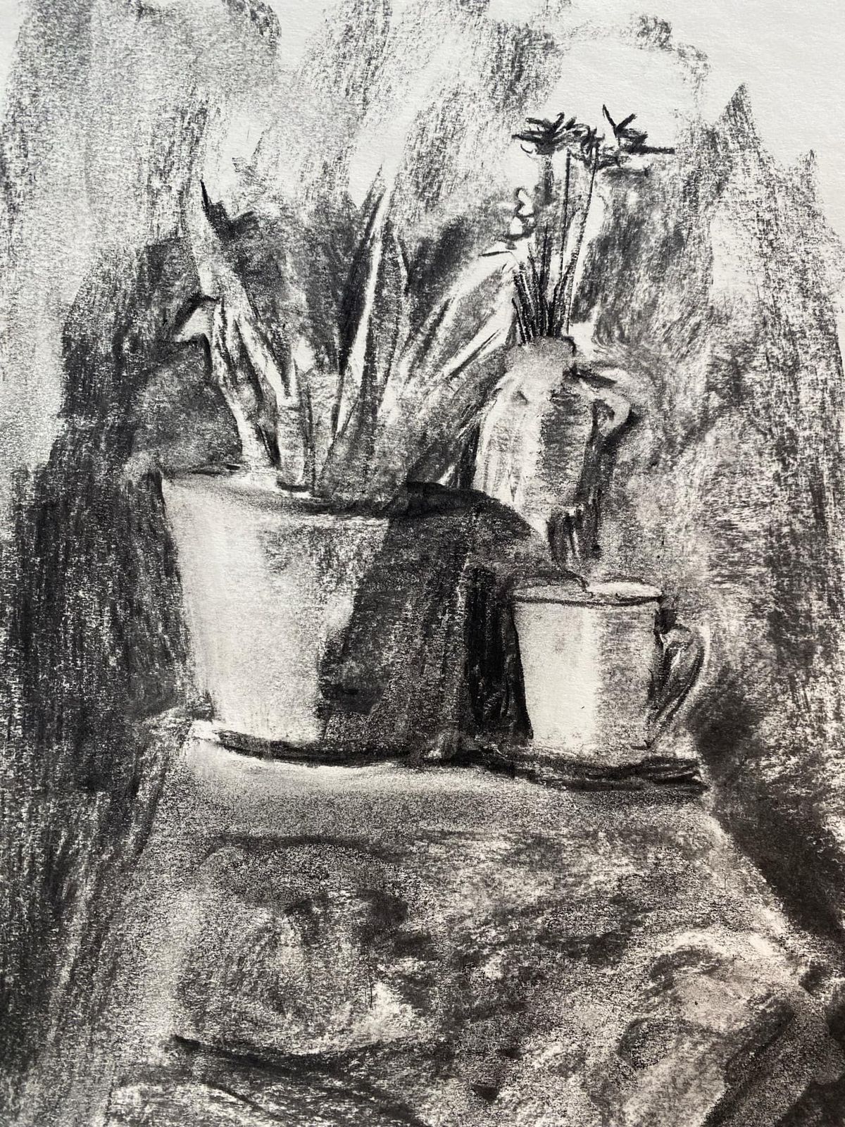 Still Life Charcoal Drawing Class