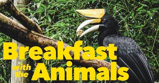 Breakfast with the Animals