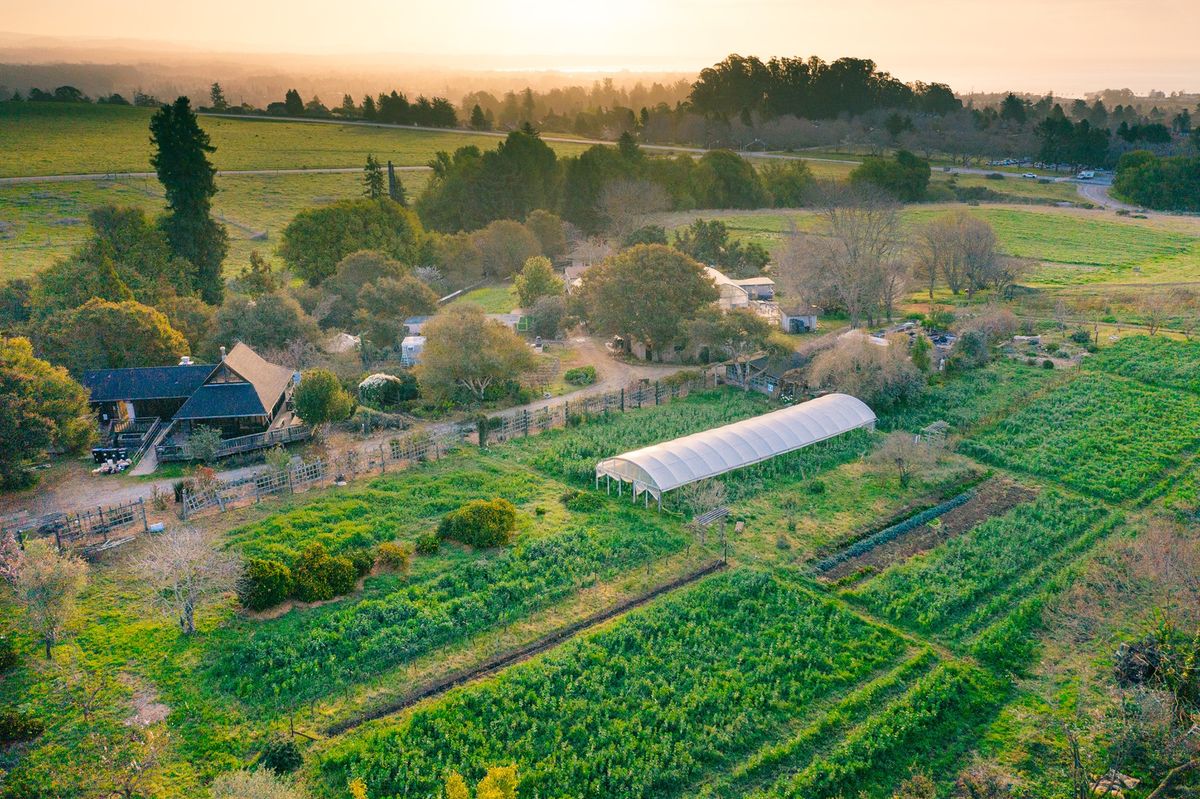 Free Guided Tour of the UCSC Farm