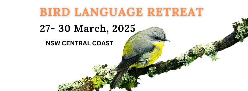 NSW Central Coast Bird Language Retreat