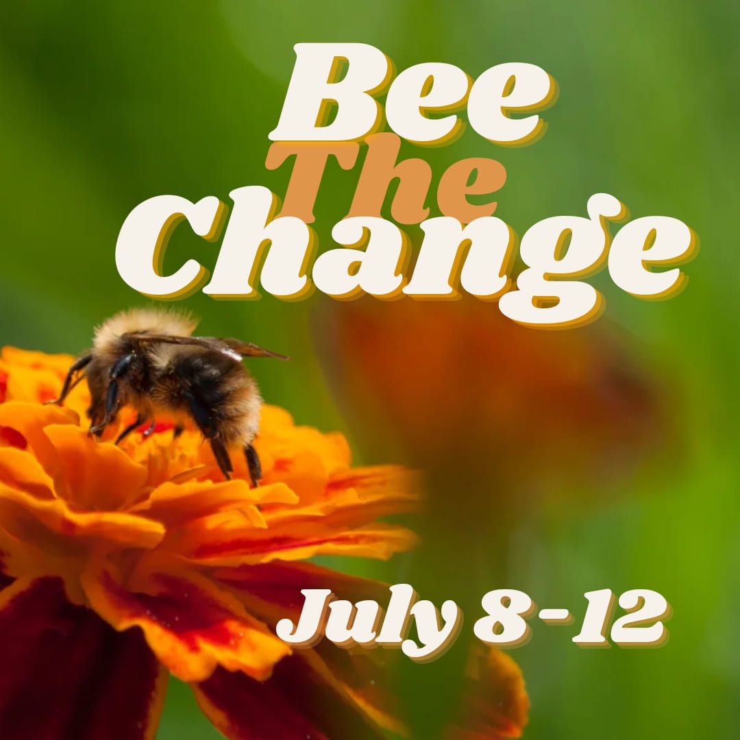 Bee the Change Camp @Mischief Makers 