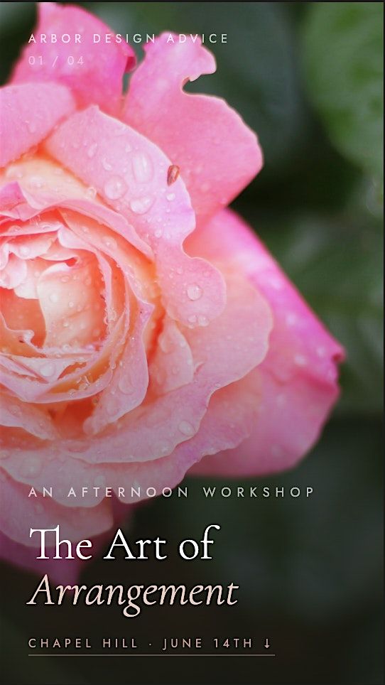 The Art of Arrangement - A Floral Design Workshop