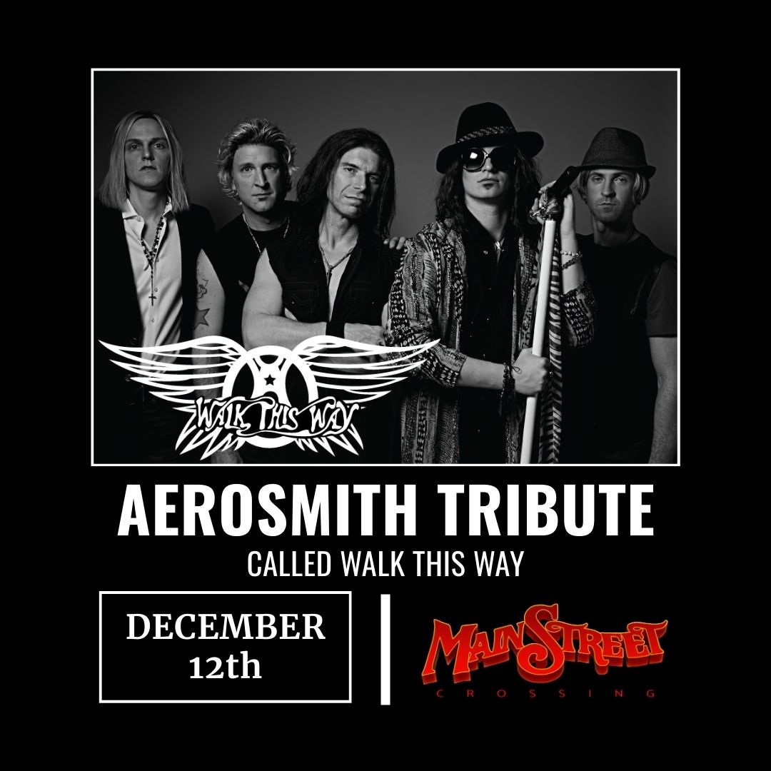 Walk This Way - Aerosmith Tribute