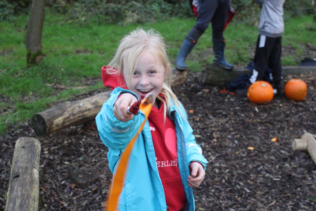 Wild Magic at Mere Sands Wood