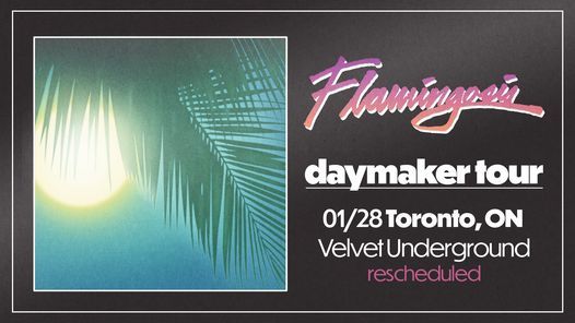 Flamingosis @ Velvet Underground | January 28th