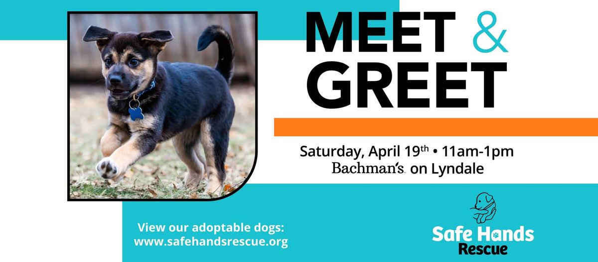 Safe Hands Rescue Meet & Greet at Bachman's (Lyndale)