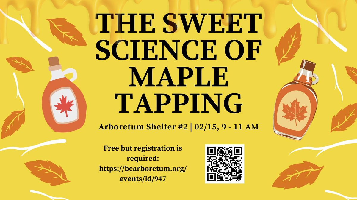 The Sweet Science of Maple Tapping