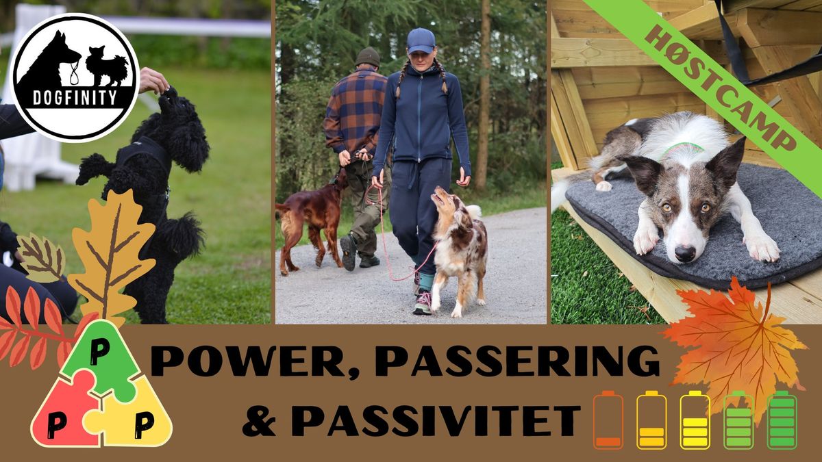 H\u00f8stcamp: POWER, PASSERING & PASSIVITET \ud83c\udf41