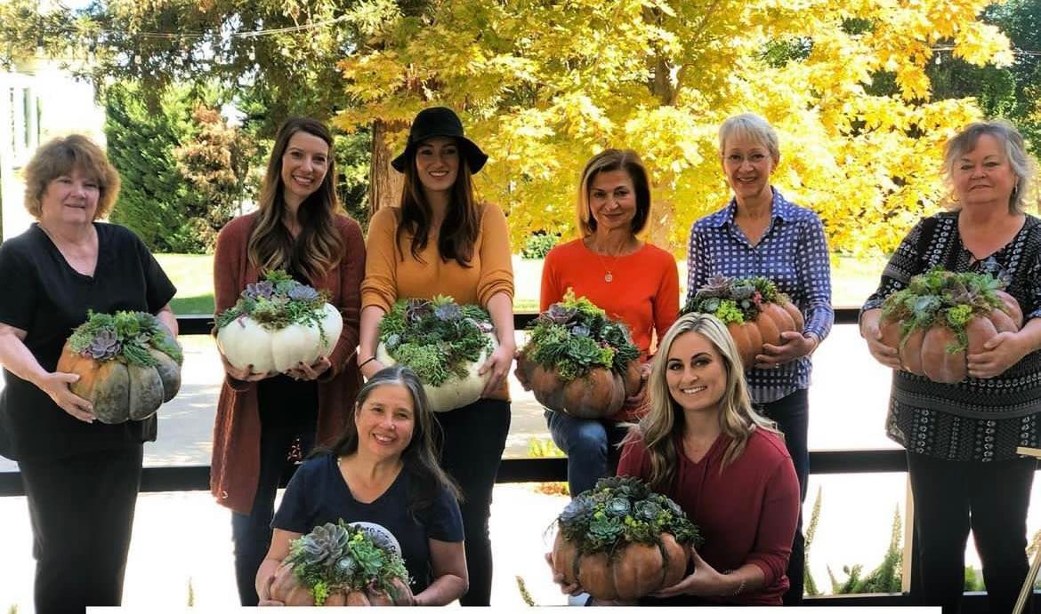 Succulent Pumpkin Workshop