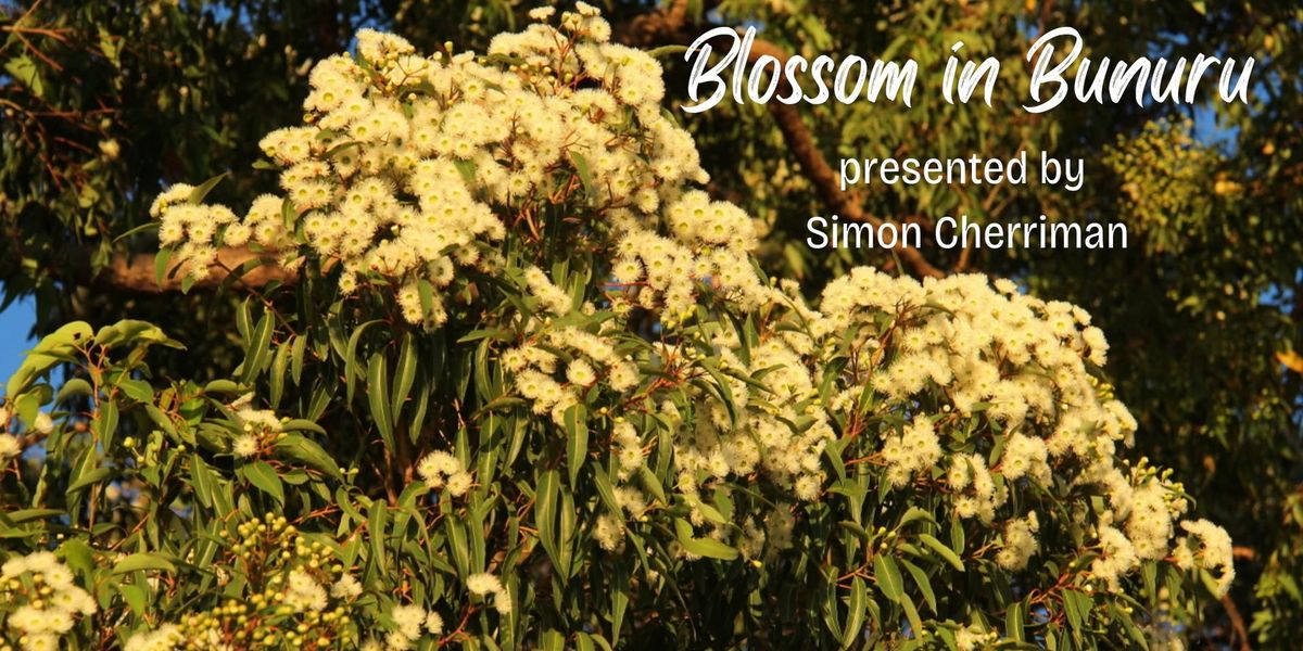 Blossom in Bunuru presented by Simon Cherriman