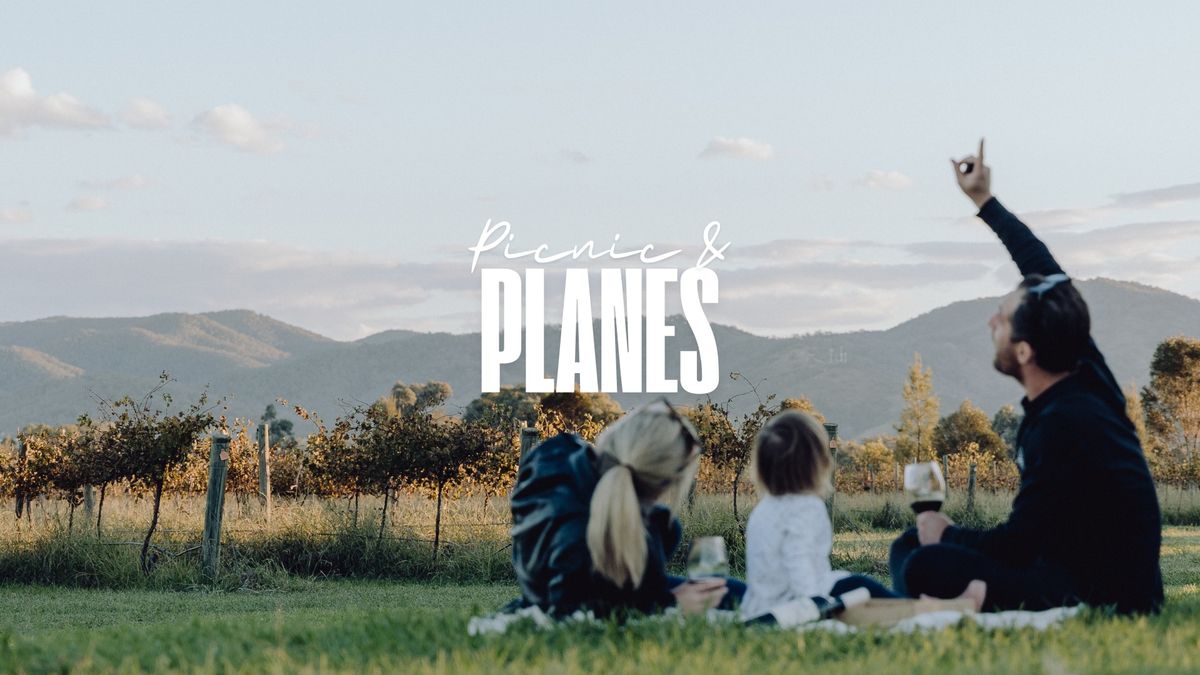 Picnic & Planes