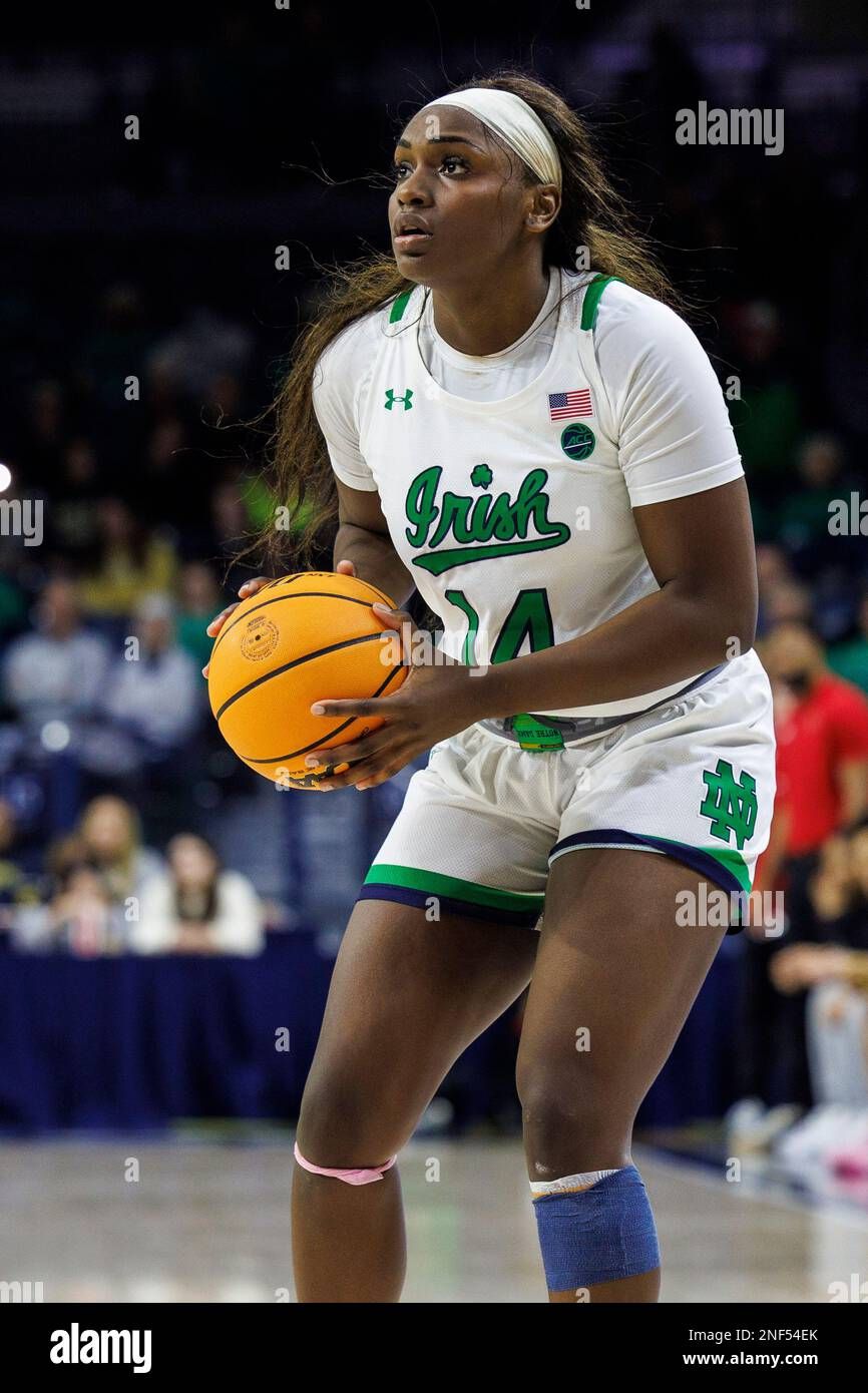 Notre Dame Fighting Irish at Louisville Cardinals Womens Volleyball