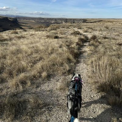 Hidden Trail Promotions