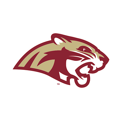 Lakeville South High School Baseball Diamond Club