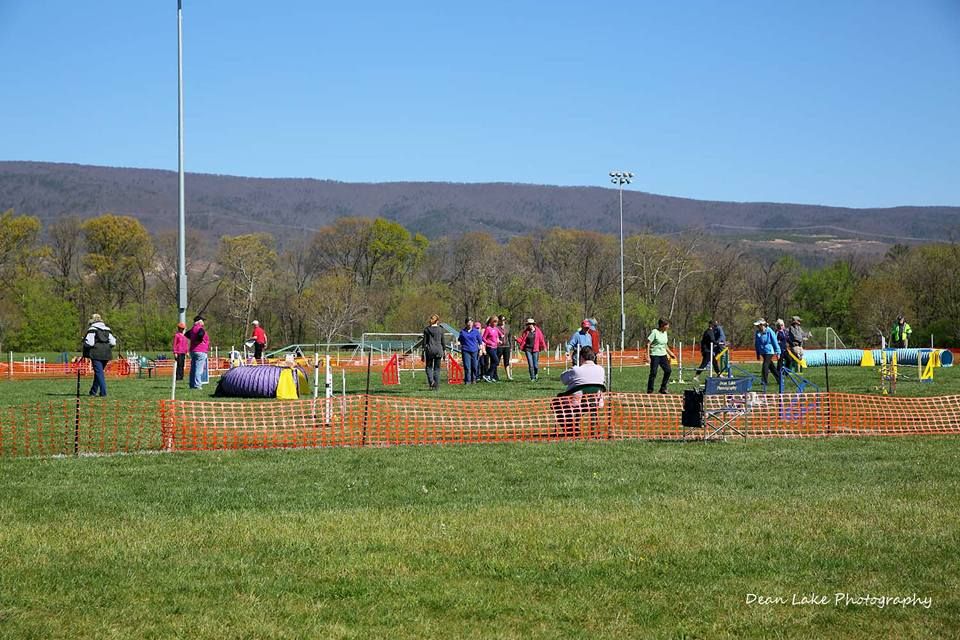 Course Building Seminar for Agility Handlers