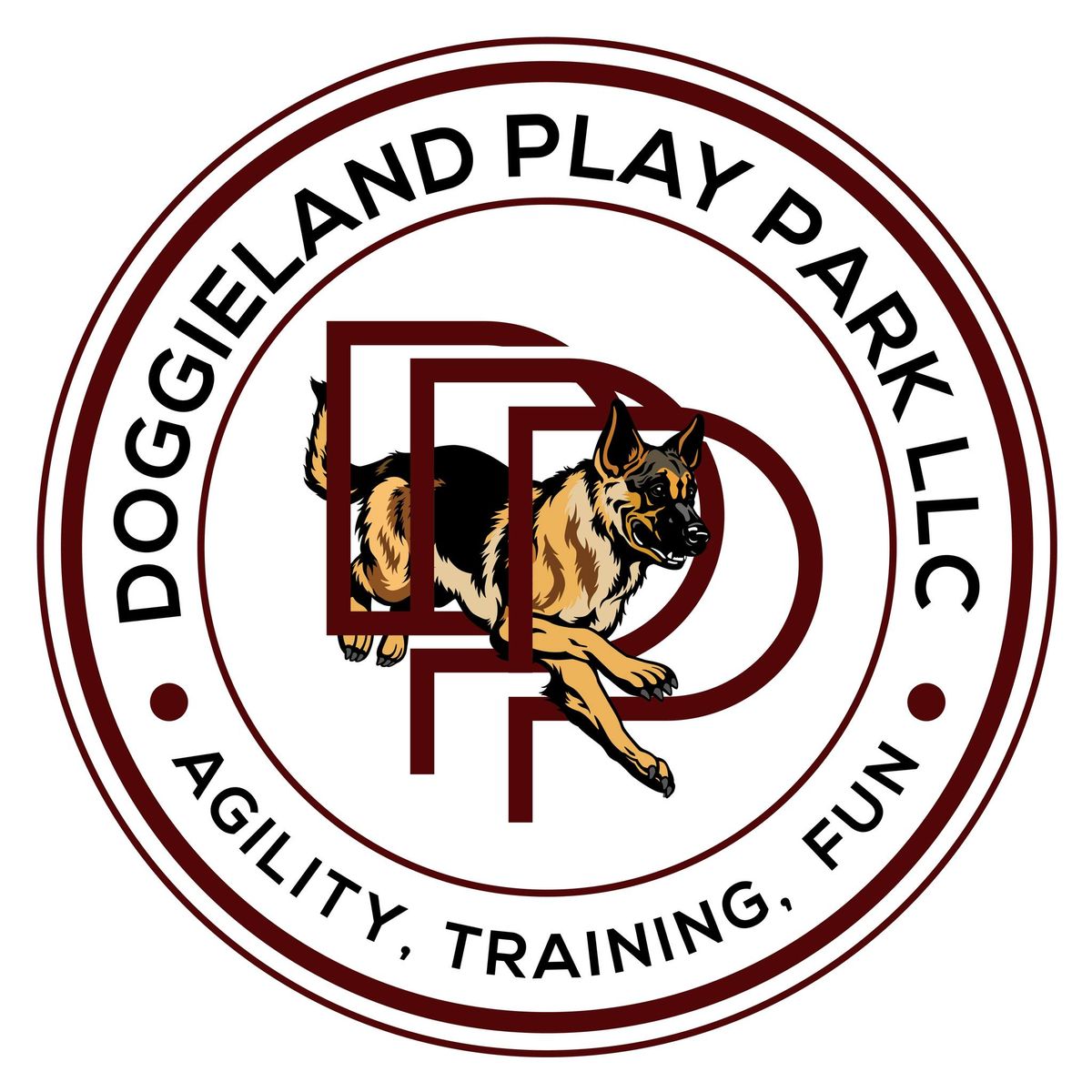 Doggieland Play Park's Agility Competition: Novice & Open