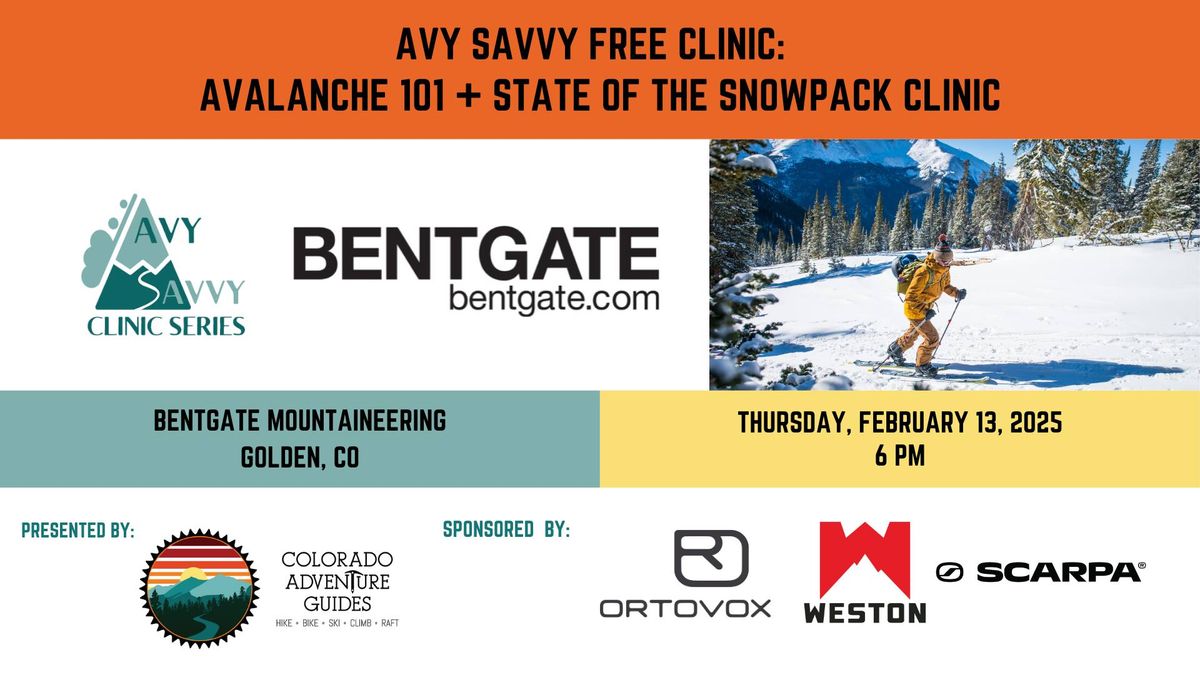 Avy Savvy Free Clinic: Avalanche 101 + The State of the Snowpack