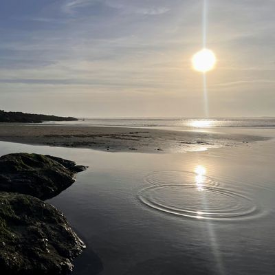 Wider Circles Collective