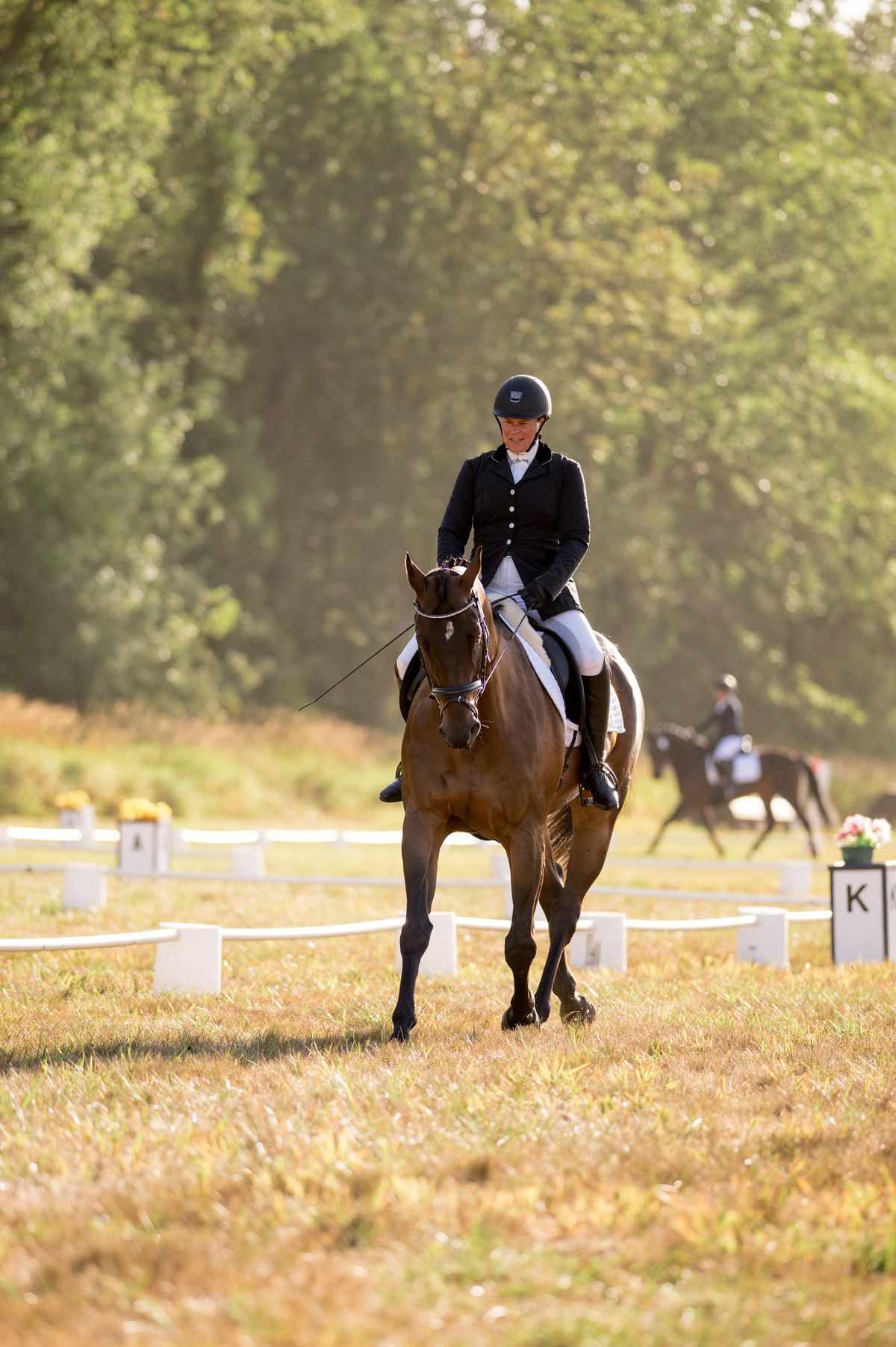 Summer Surprise Dressage Schooling Show