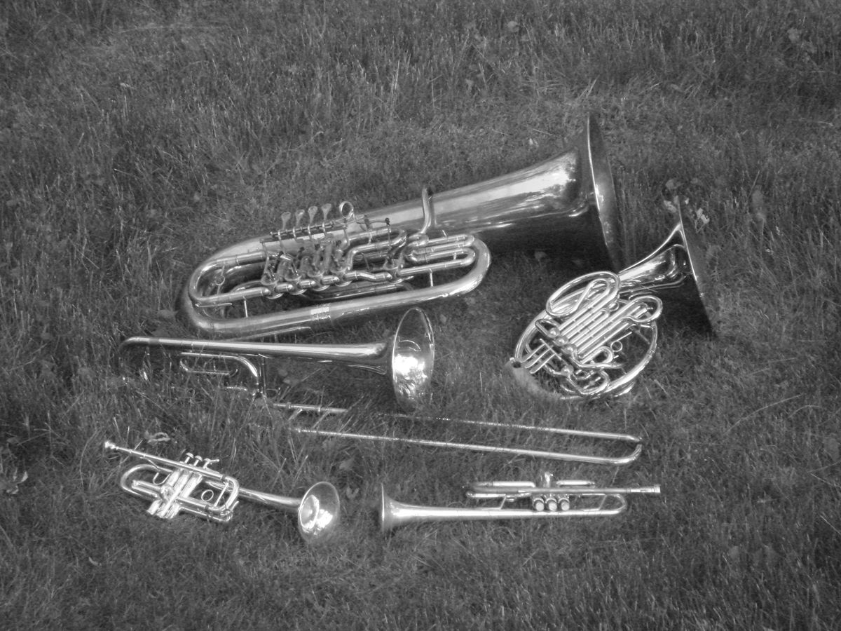 Century Brass at Oktoberfest Waldmann Brewery 2024