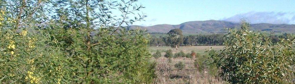 Lexton Landcare Committee Meeting & AGM