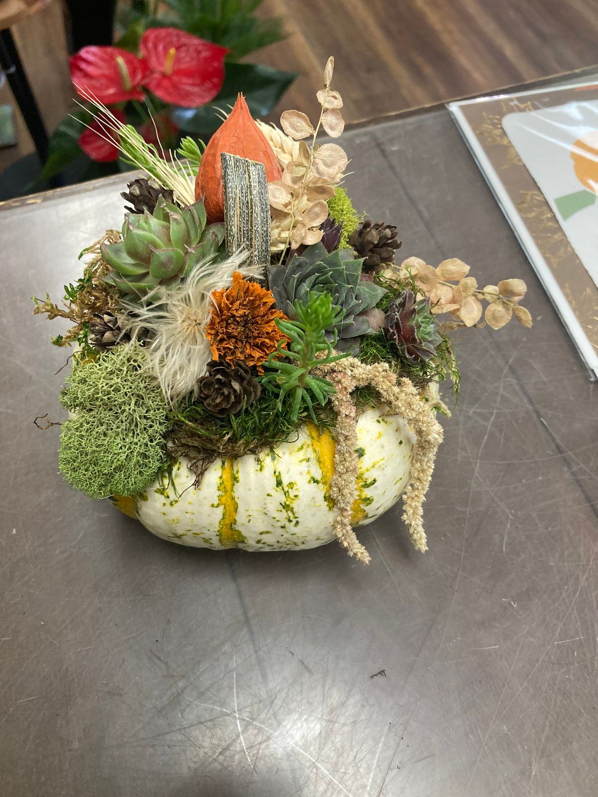 Pumpkin Succulent Workshop 