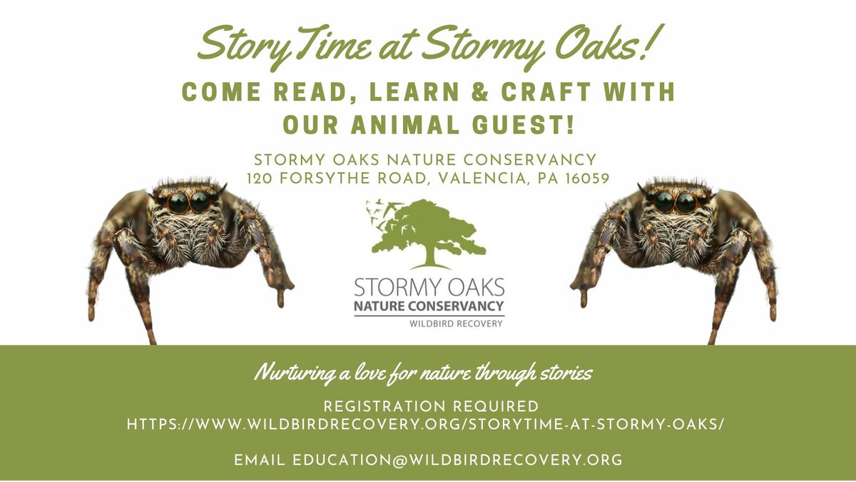 StoryTime (Spider theme) at Stormy Oaks Nature Conservancy