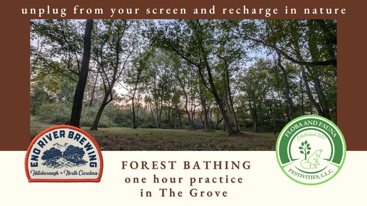 Forest Bathing in The Grove at Eno River Brewing