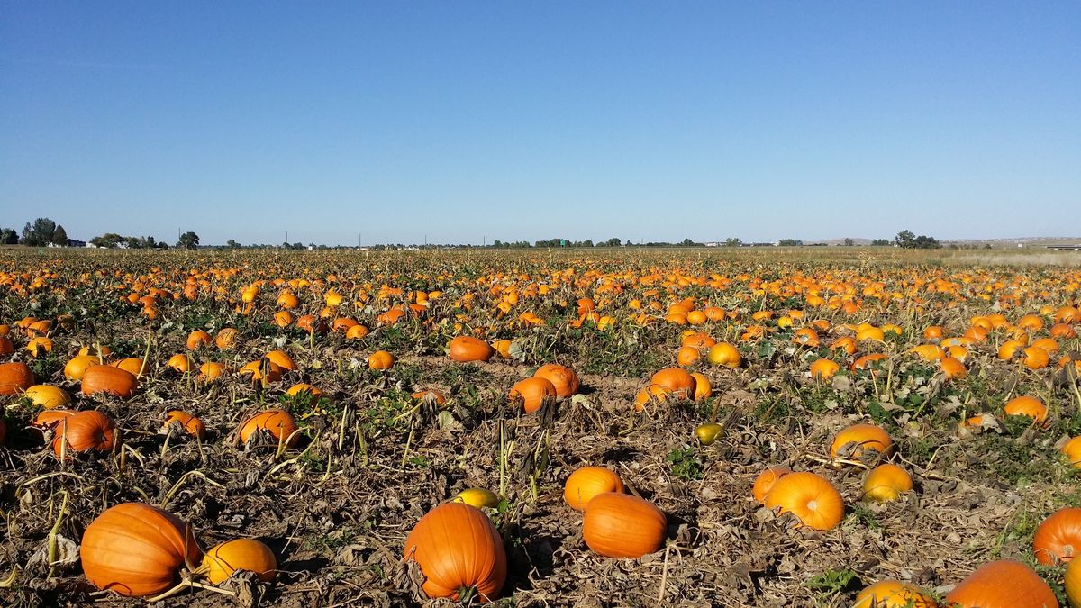 Rock Creek Farm's 2024 Opening Day