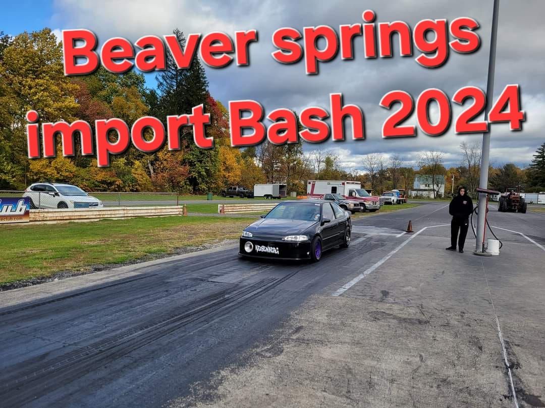 Beaver springs 2024 Import bash 