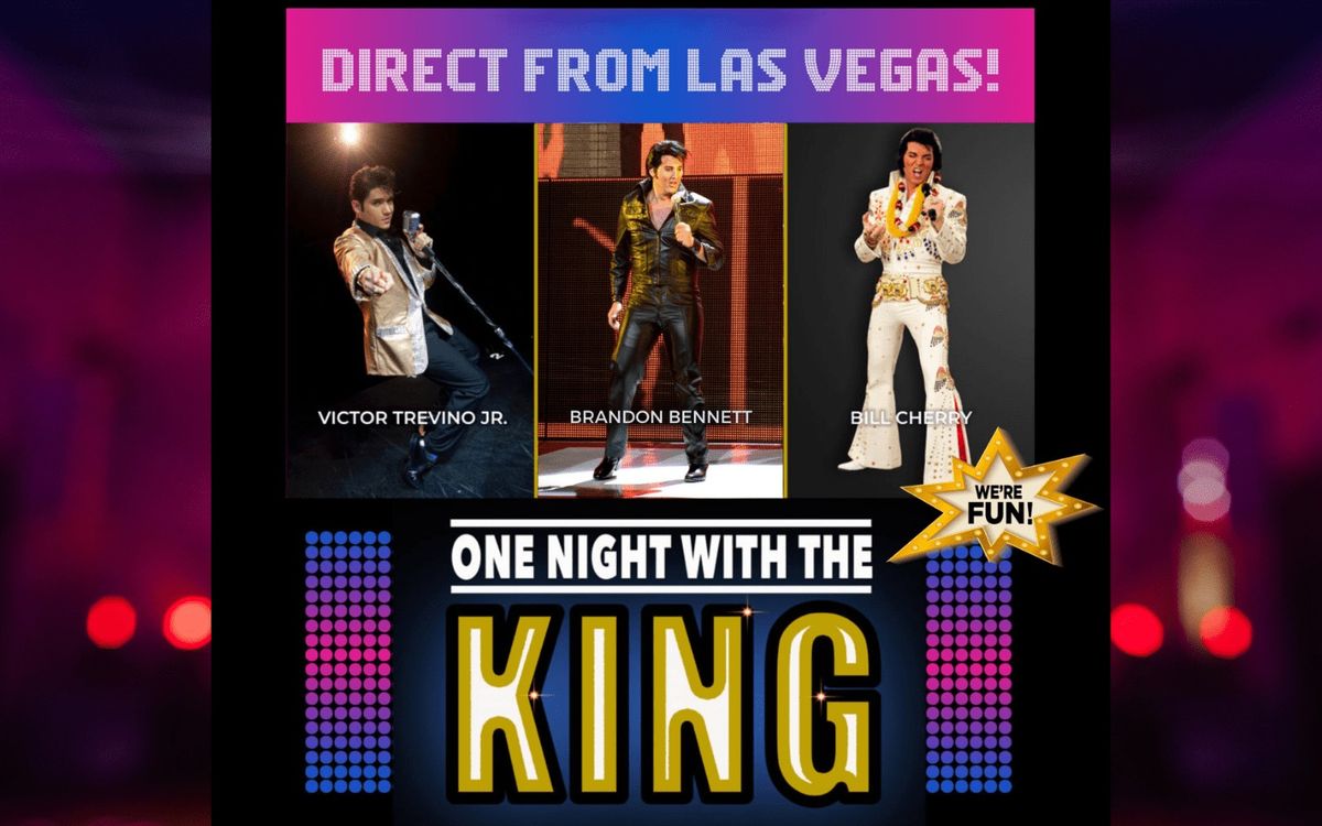 One Night With The King