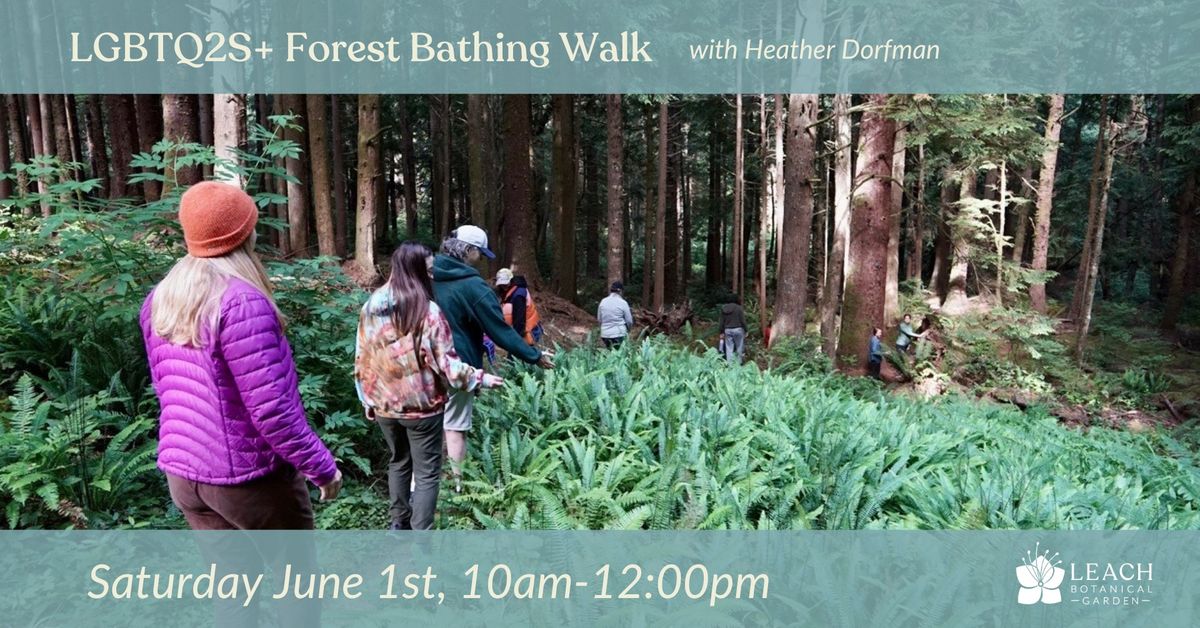 Queer and Trans Community Forest Bathing with Heather Dorfman, LMSW