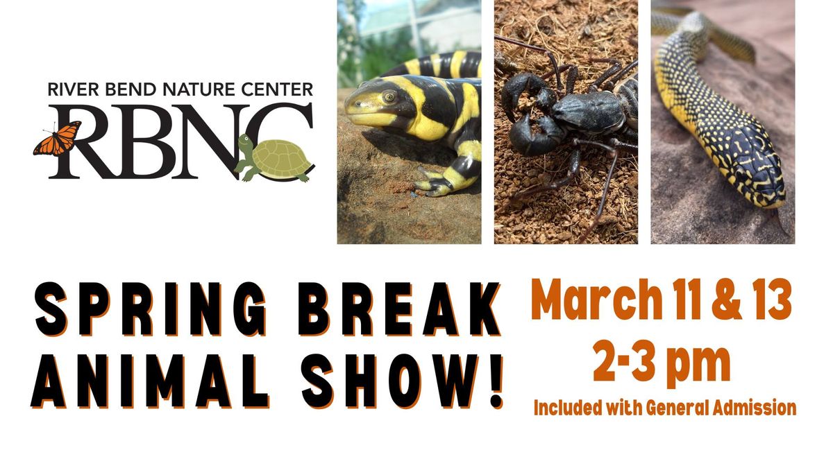 Spring Break Animal Show at River Bend Nature Center