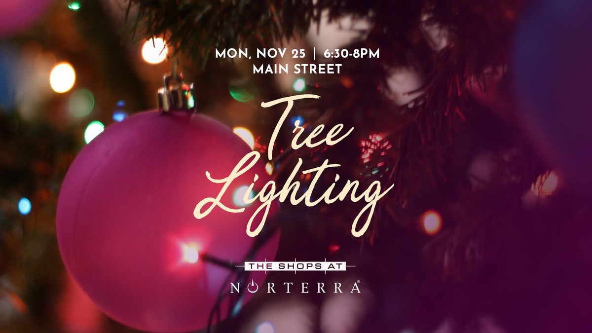 Norterra Tree Lighting