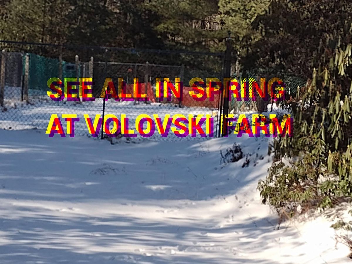 Volovski Farm start to opening. Day for 2024    