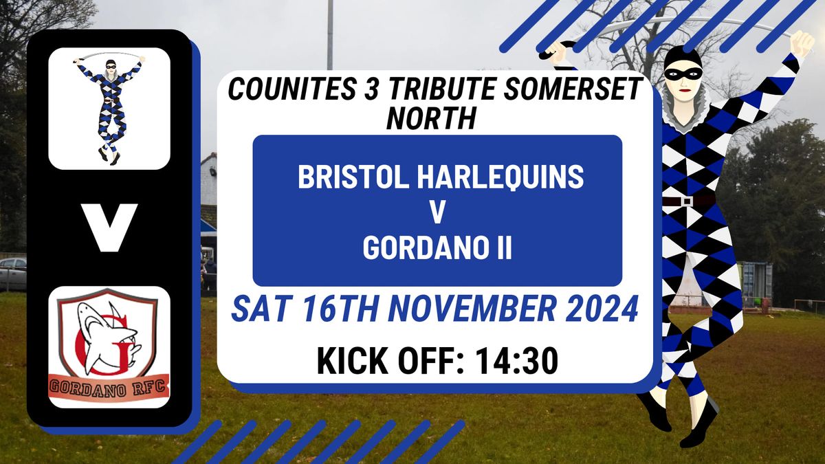 Counties 3 Tribute Somerset North Matchday 9: Bristol Harlequins V Gordano II