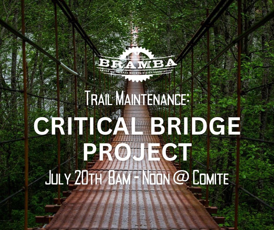 Critical Bridge Project at Comite!