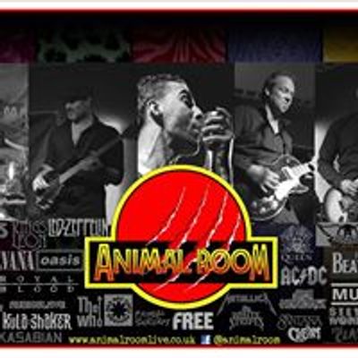 Animal Room Live Band