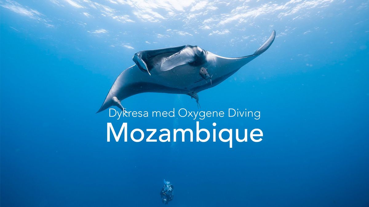 Dykresa - Mozambique