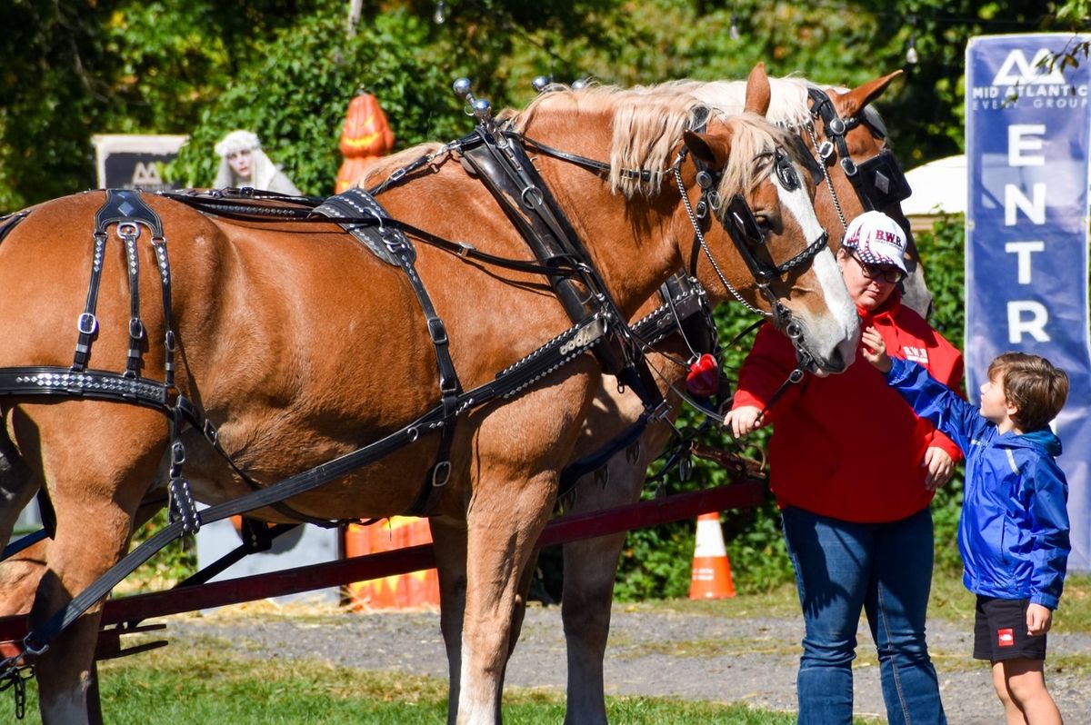 Fall Festival (Every weekend in October)